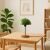 Opviq Table Lamp Green AYD-2796 164466447