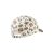 Sterntaler baseball sapka 165268126