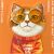 Nimmy Etui Cool Cat iPhone 17 Pro narancssárga 165549152