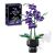 JJ9235 Elegáns lila orchidea építőkocka készlet a csomagolásával együtt fehér háttér előtt