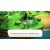 Fantasy Life I: The Girl Who Steals Time, Nintendo Switch 2, Konzol játékszoftver 165851027