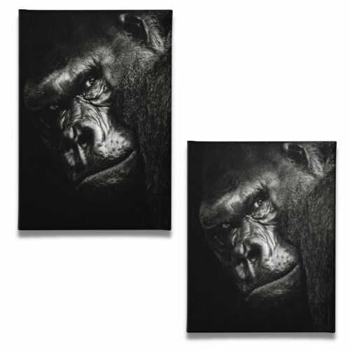 A Gorilla - Vászonkép 166650133 