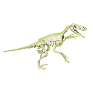 Clementoni: Archeofun - Velociraptor, który świeci 126189193 - Clementoni