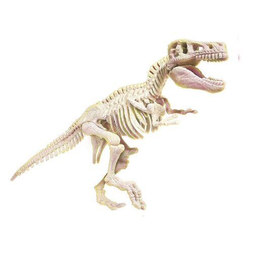 Világító T-Rex - Clementoni Archeofun 166652008 - Tudományos és felfedező játék