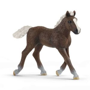 Schleich Farm World Black Forest Foal Figurine - Schleich