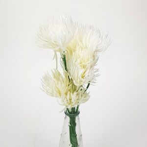 Fehér bolyhos bokor