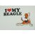Közelkép fehér rövid ujjú pólóról 'I ❤️ MY BEAGLE' felirattal és egy aranyos, felfelé néző beagle kutya illusztrációjával
