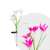 Leszúrható szolár virág – RGB LED – 75 cm – 2 db/csomag 45006763}