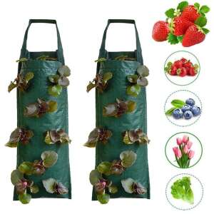 Two green hanging fabric planters with strawberries, blueberries, lettuce, and tulips growing in them - Planting Bag