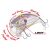 MEGABASS ORC BURNING SHAD LB OII rendszer diagram 'Knock Sound' és 'Hyper Rev Action' feliratokkal