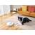 Dreame D10 Plus robot vacuum cleaner with self-emptying dustbin, white, cleaning carpet with dog
