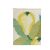 Conceptum Hypnose Carpet (80 x 200) Multicolor 130 169177147