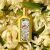 Gucci Flora Gorgeous Orchid 5 ml mini parfümös üveg fehér orchidea virágok között, kiemelve a termék természetes és virágos esszenciáját.