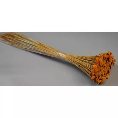 Pavao 80g narancs 169470520 - Szárított virág