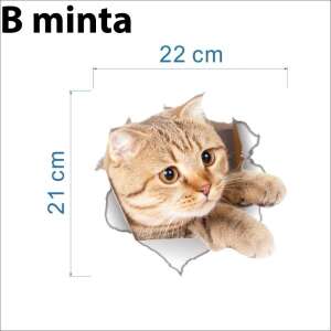 3D Cica Matrica - - B minta 51238364 