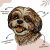 Shih Tzu fa kirakó, amely eltérő nyelvű (valószínűleg holland vagy afrikaans) szöveges jelöléseket tartalmaz, kiemelve az intenzív színeket, a 3 mm vastagságot, a szabálytalan formákat és a 400 darabot.
