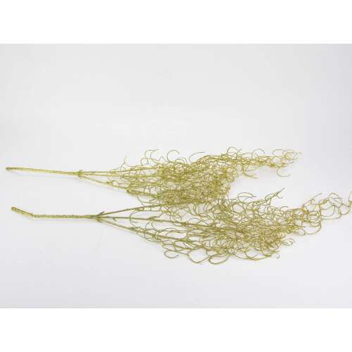 Hosszúlevelű asparagus csillámos arany 2db/csomag - KIFUTÓ 45170214