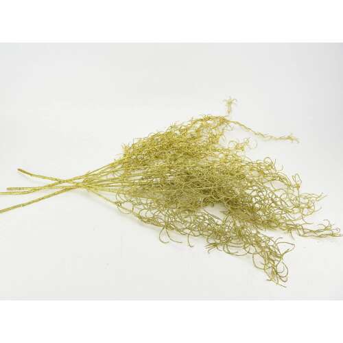 Asparagus csillámos arany  4db/csomag