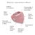 Infografika a Moniel állítható előke jellemzőiről, ergonomikus formával, foltok elleni védelemmel és növekedési alkalmazkodóképességgel, rózsaszín pöttyös mintával