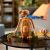 LEGO® Ideas E.T. the Extra-Terrestrial 21370 171107932