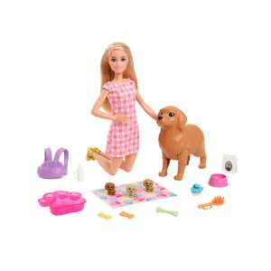 Păpușa Barbie se joacă cu cățelușul ei și trei pui nou-născuți, setul include o varietate de accesorii, cum ar fi boluri pentru hrană, o perie și o pătură - Mattel Baba