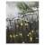 LED icicle lights, warm white, 10 meters, outdoor and indoor use, 8 modes, Emos