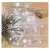 EMOS 100 LED-owe lampki w klastry, 2,4 m, zimna biel, zasilane bateriami