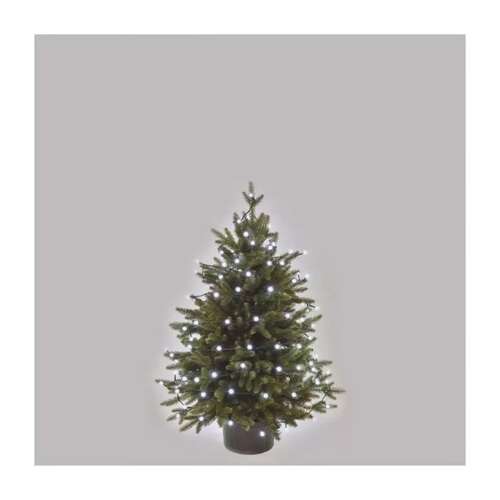 LED Christmas lights on a Christmas tree, cool white, 8 meters long