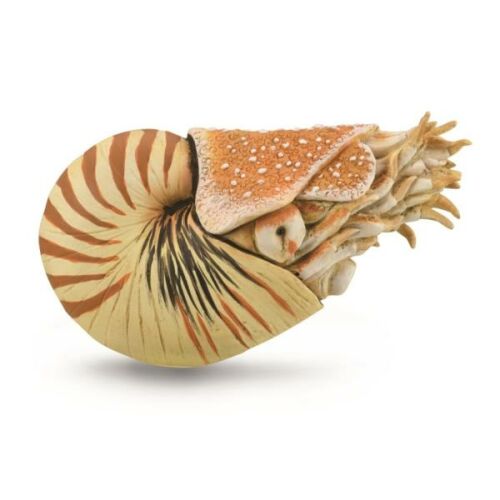 Nautilus Pompilius 88907 COLLECTA 171755615 - Figura