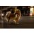 CURLI Kutyahám Glow Reflective Szürke 3XS, 1,5-3 kg 171827348