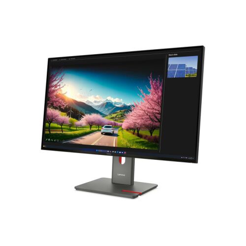 LENOVO ThinkVision P32UD-40 31.5inch TS 171872913 - Monitor