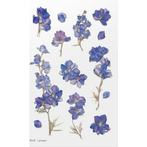Dekoratív virágok matricák - Delphinium