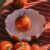 Pomodoro kerámia reszelőtál – 15 cm 172156429