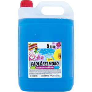 Dalma Blue Floor Cleaner 5 liters