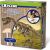 SES T-Rex Dinosaur Excavation Kit - Unearth a Tyrannosaurus Rex skeleton