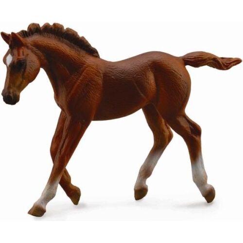 Figurka Collecta Źrebię Thorughbred Foal Chesnut (004-88670) 173511008 - Collecta