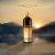 Montale Leather Patchouli EDP unisex 100 ml 173925811
