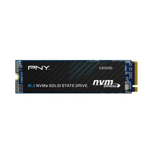 Dysk SSD PNY CS1030 256GB Bulk 174011507 - SSD meghajtó
