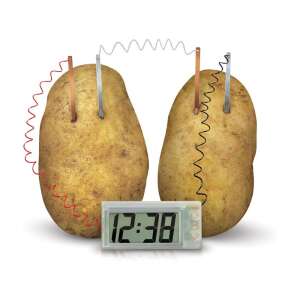 Zestaw 4M Potato Clock STEM, zegar bez baterii zasilany ziemniakami, eksperyment naukowy dla dzieci, ziemniaki z drutami i zegarem - Gra naukowa i odkrywcza