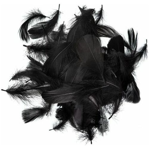 Fekete toll 5-12cm 10g 174340193 - Őszi dekorációs kellék
