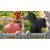 Smart Farmer - Smart Games 174373478