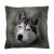 Párna - HUSKY 40x40 cm 174503263