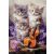PUZZLE 500 B-53988 Zenei kiscicák 174690037