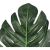 FILODENDRON LEVELEK 36 CM ZÖLD 174754439