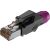 Roxtone RJ45C5E-PH-PL RJ45 dugó fedéllel 174940289