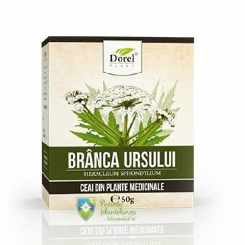 Medvebrodzs tea 50 gr 175277573 - Élelmiszer és ital