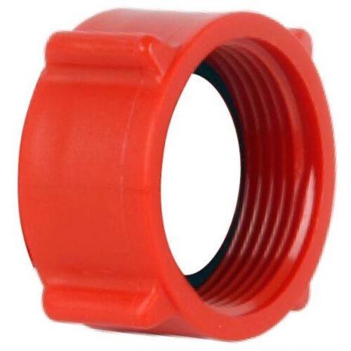 Hollandi anya (hollander) 2"-2" 175441710 