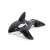 Bestway Giant Killer Whale Rider, inflatable pool toy, black and white, 203x102 cm