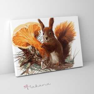 Erdei mókus - Számfestő készlet, kerettel (30x40 cm) 79533289 