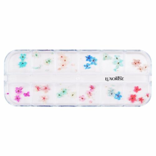 LUXORISE Flower Grace száraz virágok körömhöz, 12 modell, átlátszó osztott tokban, LUXORISE logóval, különböző színű apró préselt virágokkal körömdíszítéshez - Körömdíszítő alapanyag
